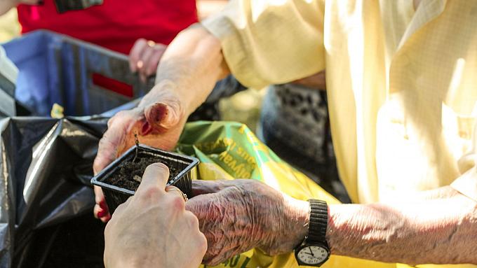 Des jardins à destination de personnes fragiles ou vulnérables : les jardins santé