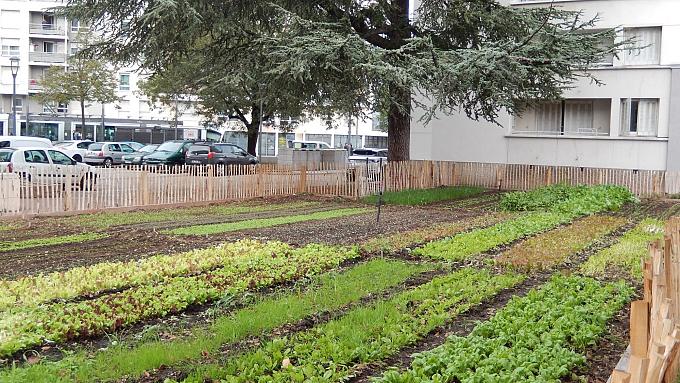 Cycle Agriculture urbaine