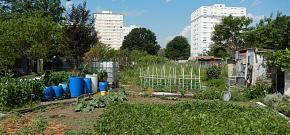 Vendredi, c'est biodiv'<small class="fine d-inline"> </small>! #7
