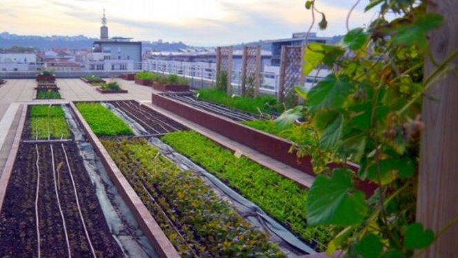 A vos opérations d'agriculture urbaine<small class="fine d-inline"> </small>!
