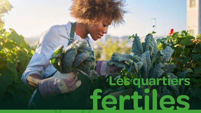 Appel à projets pour 100 «<small class="fine d-inline"> </small>quartiers fertiles<small class="fine d-inline"> </small>» - Agriculture urbaine