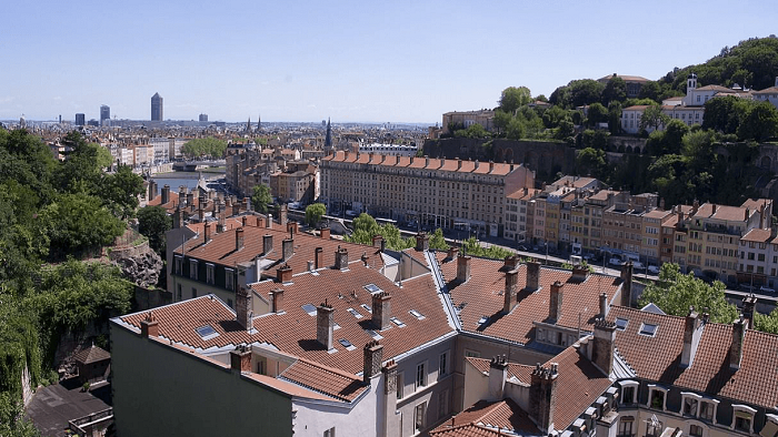 La mérule, un nouvel enjeu dans la gestion des bâtiments