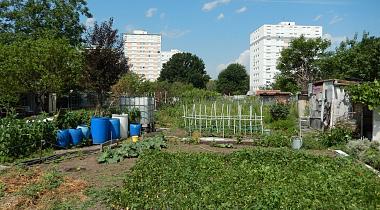 Vendredi, c'est biodiv'<small class="fine d-inline"> </small>! #6
