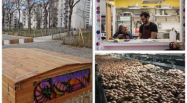 A la découverte du projet Quartiers Fertiles Lyon 8