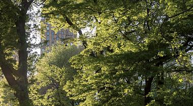 Visite commentée de l'exposition La Ville Forêt : Vers une nouvelle culture urbaine