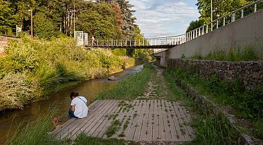 Vendredi, c'est biodiv'<small class="fine d-inline"> </small>! #4