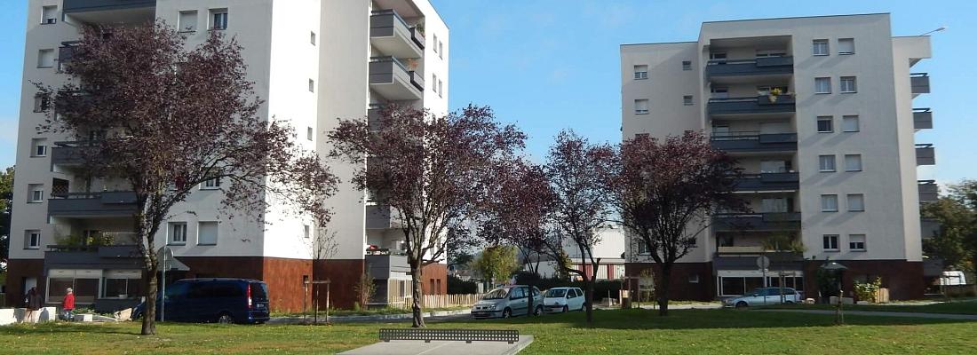 Les Cervidés Sauvages