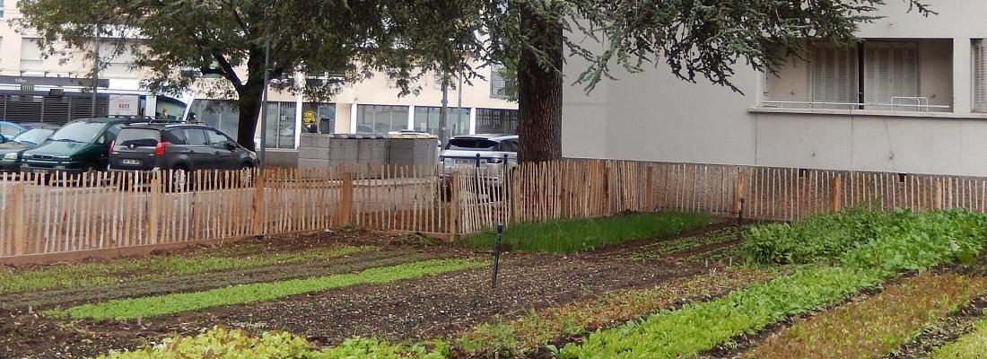 Le 8<sup class="typo_exposants">e</sup> Cèdre : la micro ferme urbaine des Etats-Unis