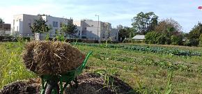 Ferme urbaine de Maguy - Pierre-Bénite (69)