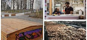 A la découverte du projet Quartiers Fertiles Lyon 8 