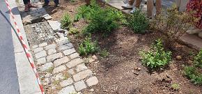 Eaux pluviales et aménagement