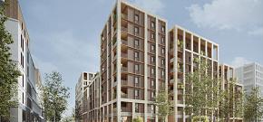 Construire des logements avec du bois et de la pierre