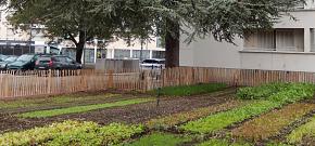 Le 8<sup class="typo_exposants">e</sup> Cèdre : la micro ferme urbaine des Etats-Unis
