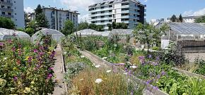 RDV du réseau « Urbanisme Régénératif »