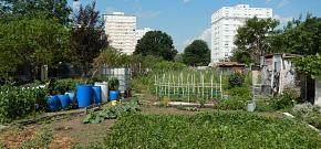 Vendredi, c'est biodiv' ! #6