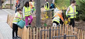 Désimperméabiliser les espaces publics : des solutions fondées sur la nature