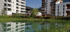 La gestion des eaux pluviales au service de l'adaptation au changement climatique