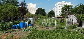 Agriculture urbaine