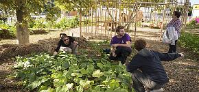 Jardin d'Emile sur la ZAC de la Duchère