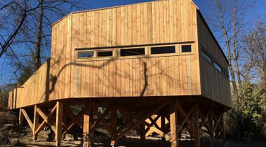 Commande publique et bois local
