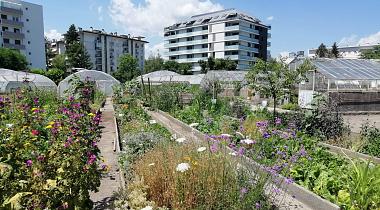 RDV du réseau « Urbanisme Régénératif »