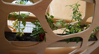 Architecture qui soigne