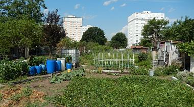 Vendredi, c'est biodiv' ! #6
