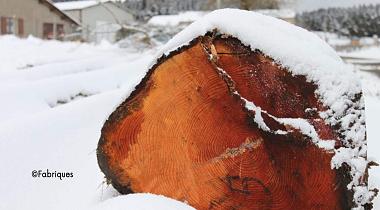 Comment intégrer le développement durable dans les marchés ?