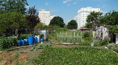 Agriculture urbaine