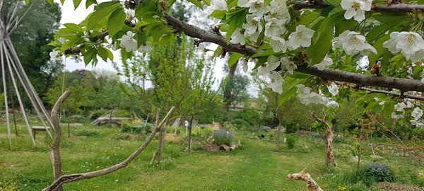 Jardin collectif associatif Les Pot'iront