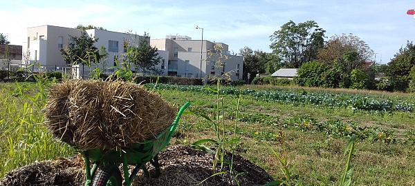 Ferme urbaine de Maguy - Pierre-Bénite (69)