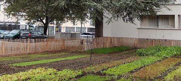 Le 8<sup class="typo_exposants">e</sup> Cèdre : la micro ferme urbaine des Etats-Unis