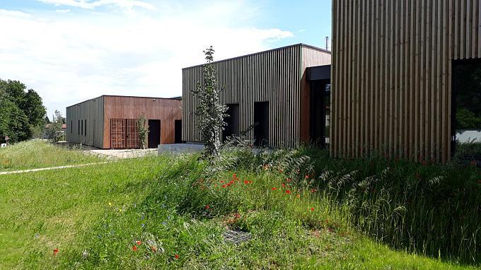 Biodiversité