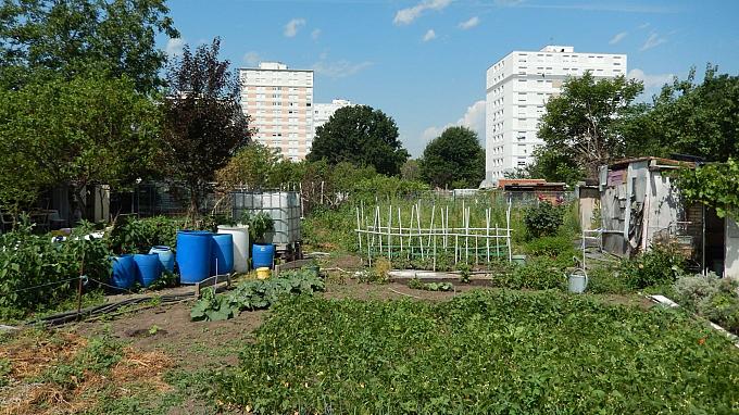 Vendredi, c'est biodiv' ! #7