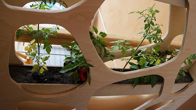 Architecture qui soigne