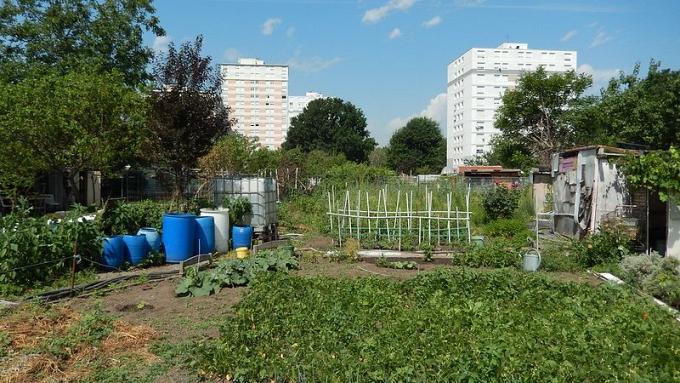 Agriculture urbaine