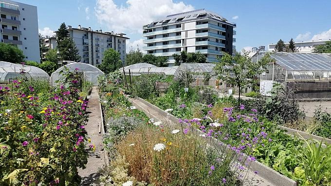 RDV du réseau « Urbanisme Régénératif »