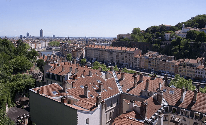La mérule, un nouvel enjeu dans la gestion des bâtiments