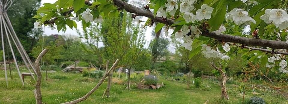 Jardin collectif associatif Les Pot'iront