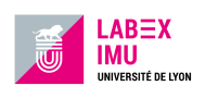 Labex IMU